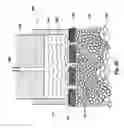 Fig. 30 - Microporation of tissue for delivery of bioactive agents