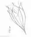 Fig. 10 - Vein filter