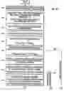 Fig. 04 - Bending moment