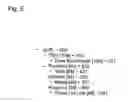 Fig. 06 - System and method for comparative analysis of textual documents