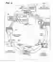 Fig. 03 - Audience matching network with performance factoring and revenue allocation
