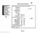 Fig. 09 - Online trading system and method supporting heirarchically-organized trading members
