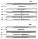 Fig. 04 - Method for reorganization management in a set of indexed databases of a computer system