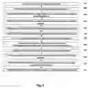 Fig. 03 - Methods for document indexing and analysis