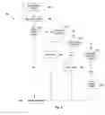 Fig. 09 - Searching previously viewed web sites