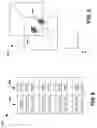Fig. 08 - Image-based document indexing and retrieval