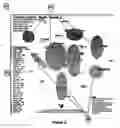Fig. 04 - Method for generating pictorial representations of relevant information based on community relevance determination