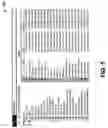 Fig. 06 - Automatic query clustering
