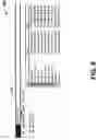 Fig. 07 - Automatic query clustering