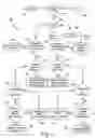 Fig. 10 - Presentation of media content from multiple media sources