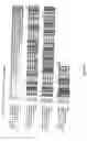 Fig. 02 - Mag1 nucleic acid molecules and their uses