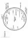 Fig. 07 - Methods and vectors for site-specific recombination in plant cell plastids