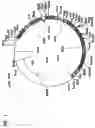 Fig. 02 - Expression cassettes and methods for delivery of animal vaccines