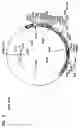 Fig. 06 - Expression cassettes and methods for delivery of animal vaccines