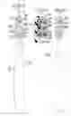 Fig. 03 - Toothbrush