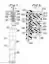 Fig. 04 - Toothbrush