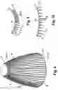 Fig. 06 - Advanced L-channel welded nozzle design