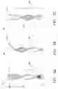 Fig. 04 - Spinner bait blade