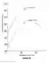 Fig. 06 - Asymmetric honeycomb wall-flow filter having improved structural strength