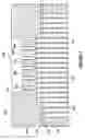 Fig. 07 - Asymmetric honeycomb wall-flow filter having improved structural strength