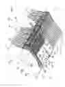 Fig. 04 - Split-level deflector for harvested tree-fruit