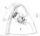 Fig. 02 - Tilt helm