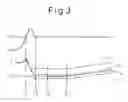 Fig. 03 - Control device for an internal combustion engine