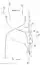 Fig. 03 - Plug valve having high flow resolution