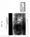 Fig. 14 - Method of causing intergranular stress corrosion crack to generate and grow in sample