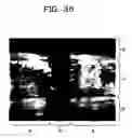 Fig. 37 - Method of causing intergranular stress corrosion crack to generate and grow in sample