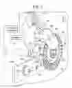 Fig. 06 - Disc tray error system