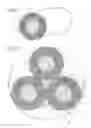 Fig. 02 - Three-conductor cable