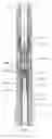 Fig. 04 - One-step directional coring or drilling system