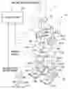 Fig. 01 - Legged mobile robot