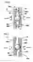 Fig. 06 - Clutch device