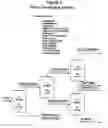 Fig. 04 - Process for enhancing the value of hydrocarbonaceous natural resources