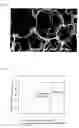 Fig. 02 - Organic porous article having selective adsorption ability for boron, and boron removing module and ultra-pure water production apparatus using the same