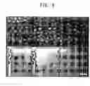 Fig. 09 - Resin microchannel substrate and method of manufacturing the same