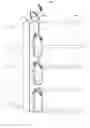 Fig. 01 - Merchandise display apparatus