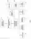 Fig. 03 - Intelligent dispensing system