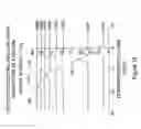 Fig. 20 - Methods and apparatus for enhanced ion based sample detection using selective pre-separation and amplification
