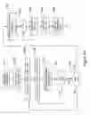 Fig. 45 - Methods and apparatus for enhanced ion based sample detection using selective pre-separation and amplification