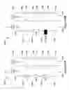 Fig. 67 - Methods and apparatus for enhanced ion based sample detection using selective pre-separation and amplification