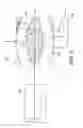 Fig. 04 - Mass spectrometry method and apparatus