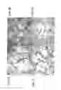Fig. 02 - Nanosubstrate with conductive zone and method for its selective preparation