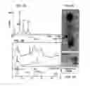 Fig. 03 - Nanosubstrate with conductive zone and method for its selective preparation