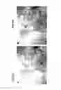 Fig. 07 - Nanosubstrate with conductive zone and method for its selective preparation