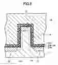 Fig. 09 - Non-volatile semiconductor memory device and process for fabricating the same