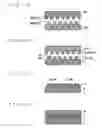 Fig. 06 - Multilayer optical recording medium manufacturing method and multilayer optical recording system