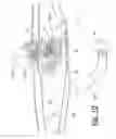 Fig. 07 - Pivotable towing device for towing vehicles